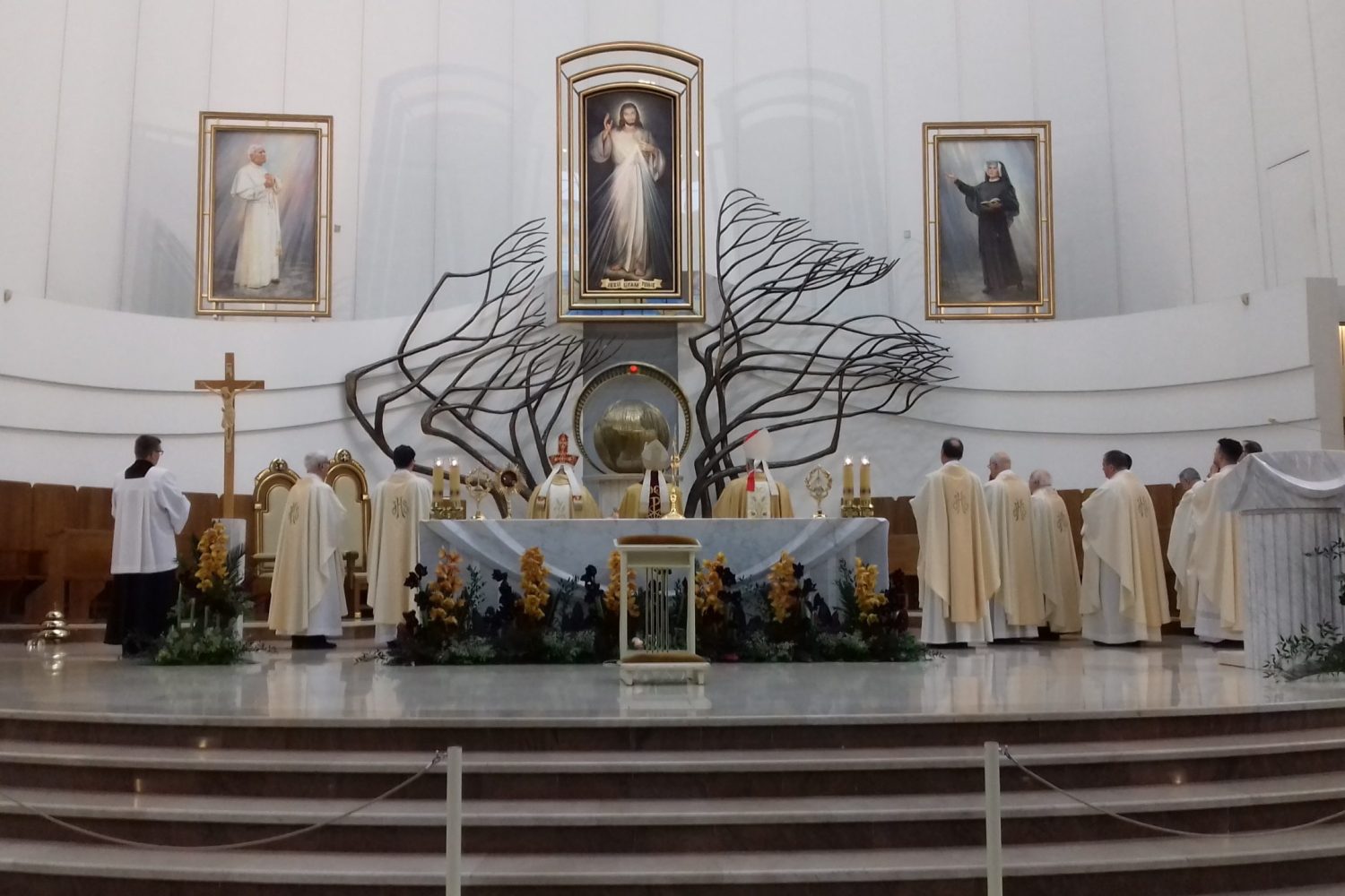 20181118_140414 20181118_140414