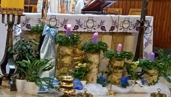 Gwiz. 2025-12-15 (16)